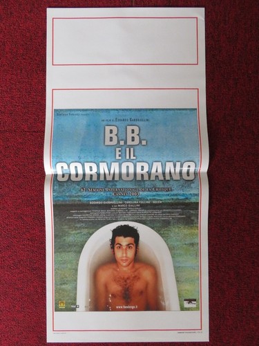 Il cormorano italian - e,