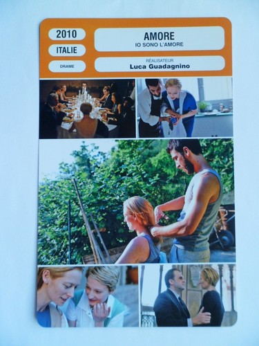Carte fiche cinema 2010 amore - 2010,